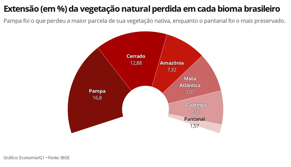 Proporcionalmente, pampa é o bioma mais devastado, enquanto o pantanal é o mais preservado — Foto: Economia/G1