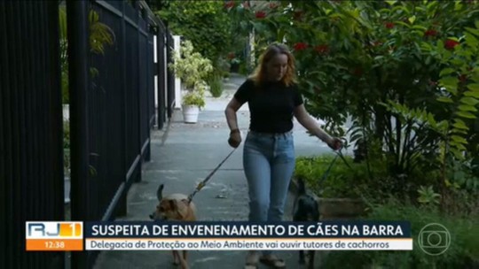 Tutores procuram delegacia para registrar casos de envenenamento de cães na Barra da Tijuca - Programa: RJ1 