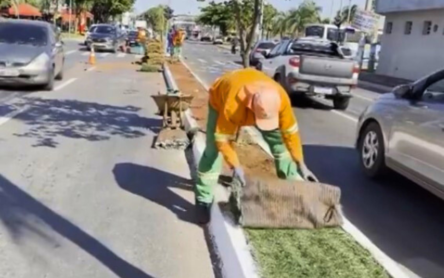 Grama sintética em canteiros de Goiânia começa a ser retirada 