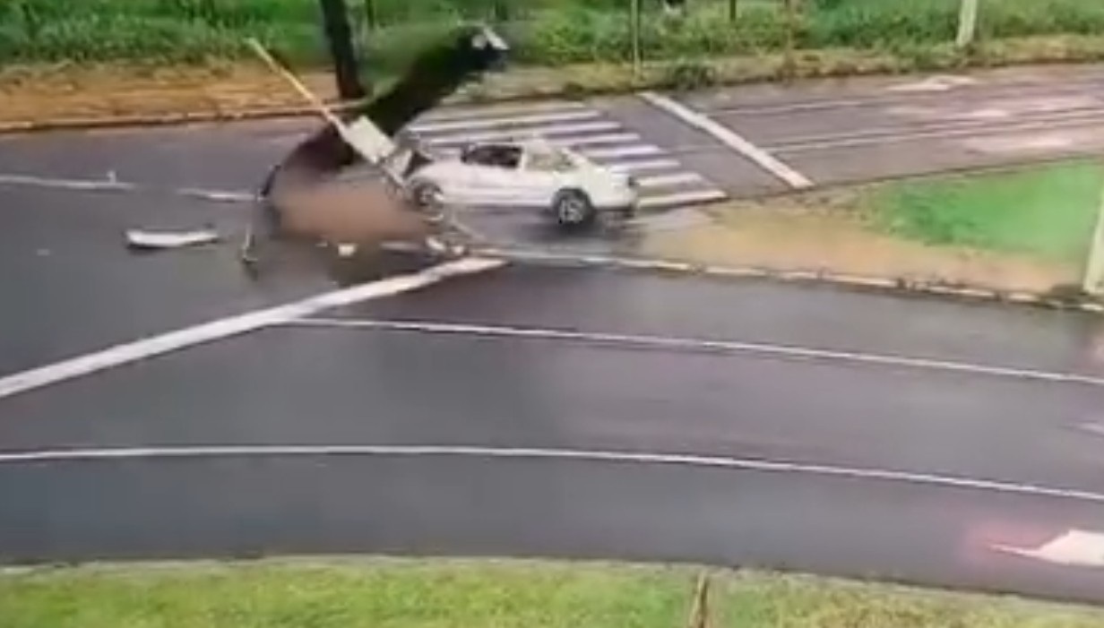 VÍDEO: Motorista derruba semáforo e foge após batida no interior de SP