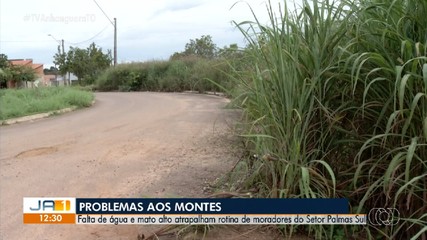Moradores do Setor Sul de Palmas enfrentam problemas devido à falta de água e ao mato alto