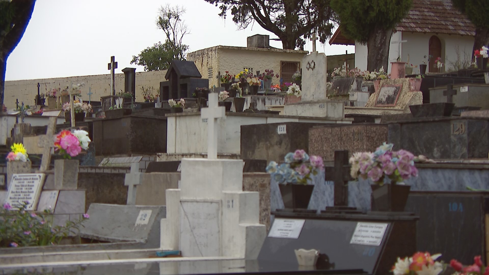 Finados: confira horário de funcionamento dos cemitérios, alterações de trânsito e horários das missas em Juiz de Fora