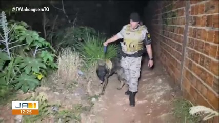 Polícia apreende drogas em matagal às margens de córrego em Araguaína