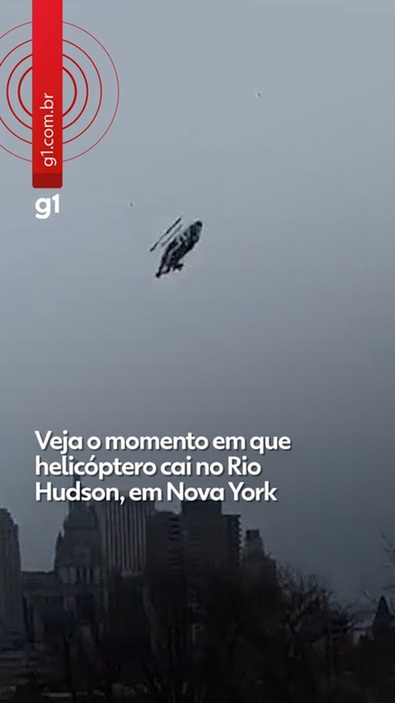 Executivo da Siemens, esposa e filhos estavam em helicóptero que caiu no rio Hudson, na região de Nova York