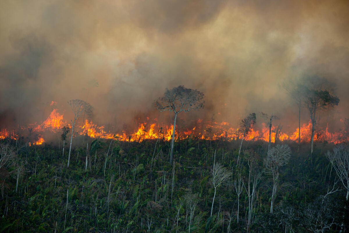 Força Nacional é autorizada para atuar em combate e investigação de incêndios em 6 estados da Amazônia Legal