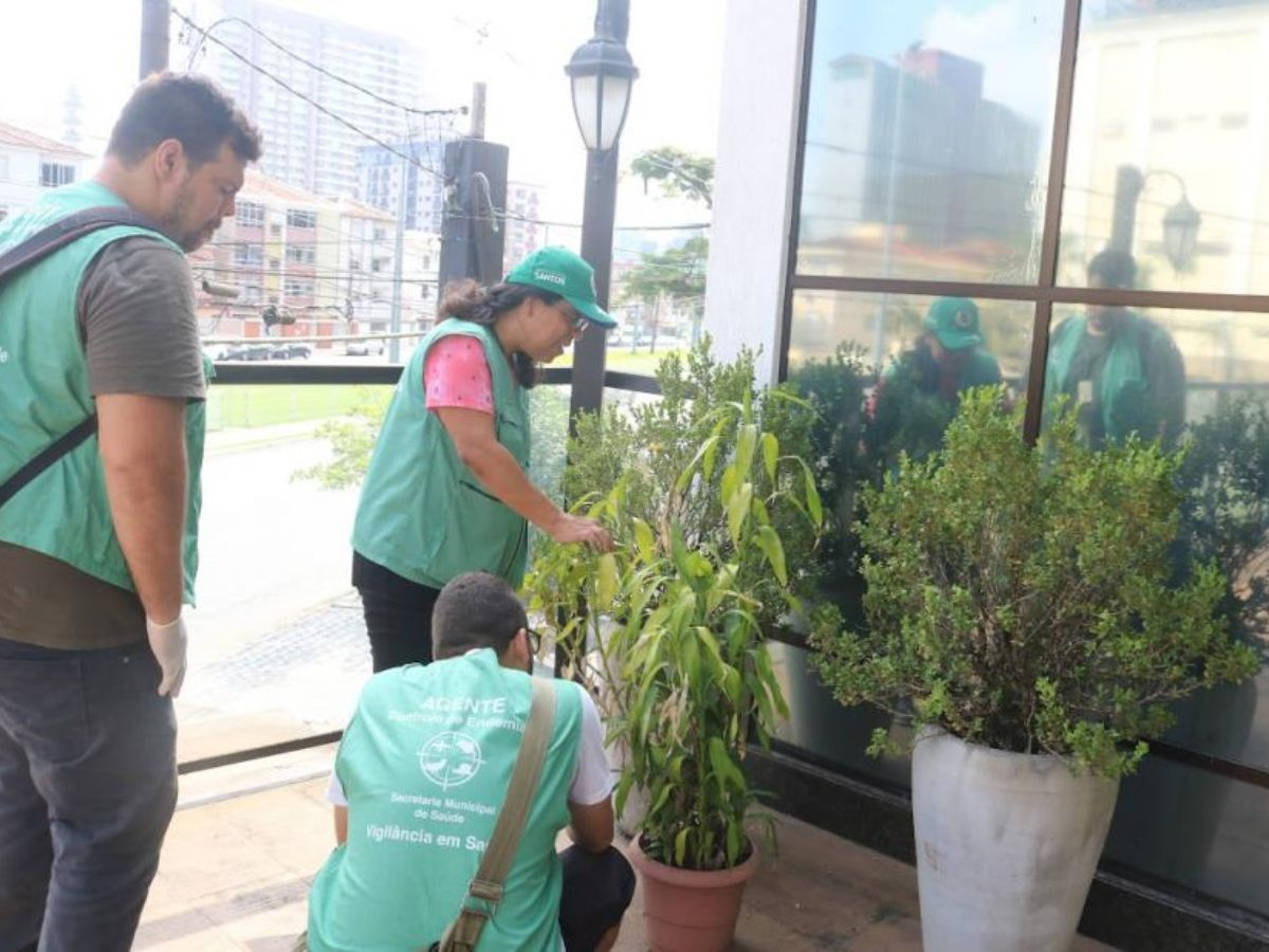 Baixada Santista inicia vacinação contra a dengue em dose única para profissionais da saúde