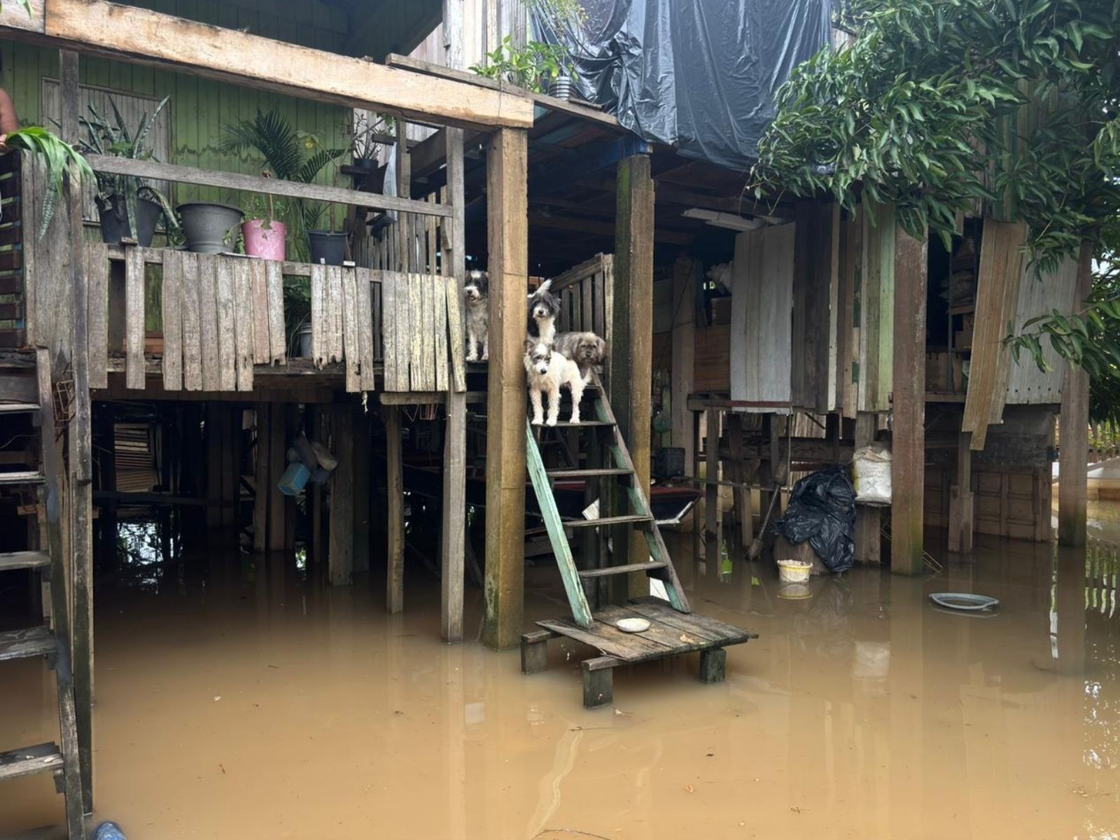 Rio Acre segue em elevação e se aproxima dos 15 metros em Rio Branco