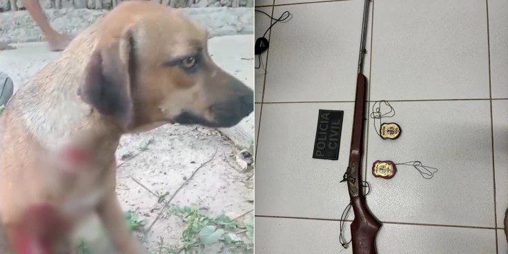Homem é preso após matar cachorro a tiros de espingarda em Bacabal, no MA