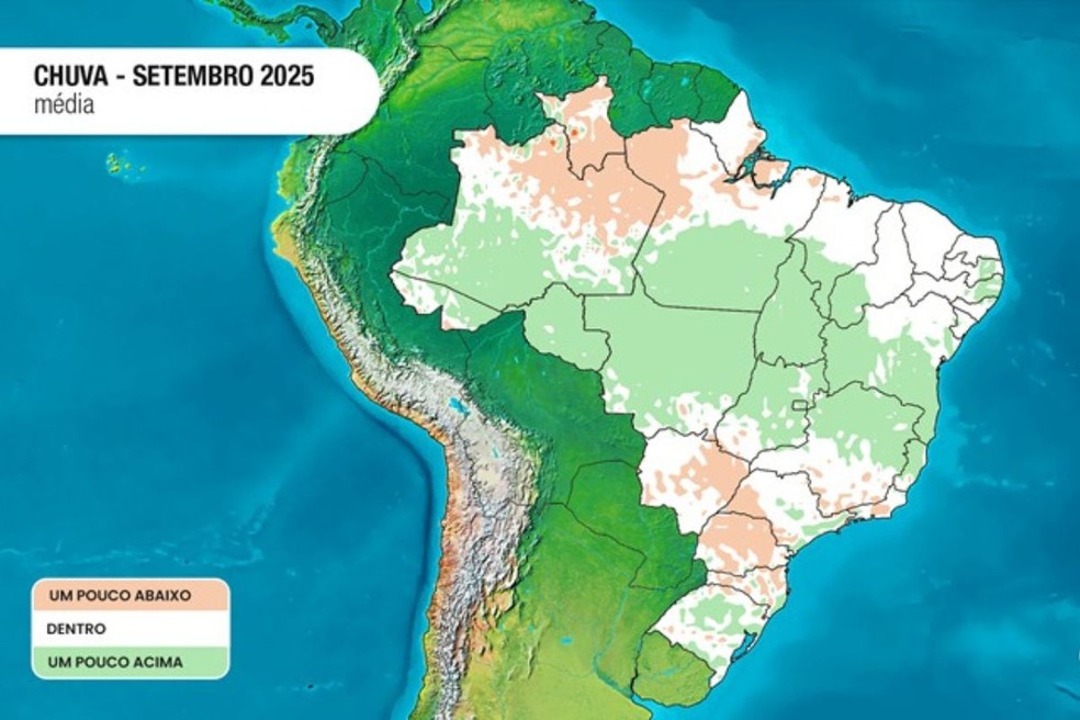 Tons de verde indicam chuva acima da média e de marrom indicam chuva abaixo da média. — Foto: Climatempo
