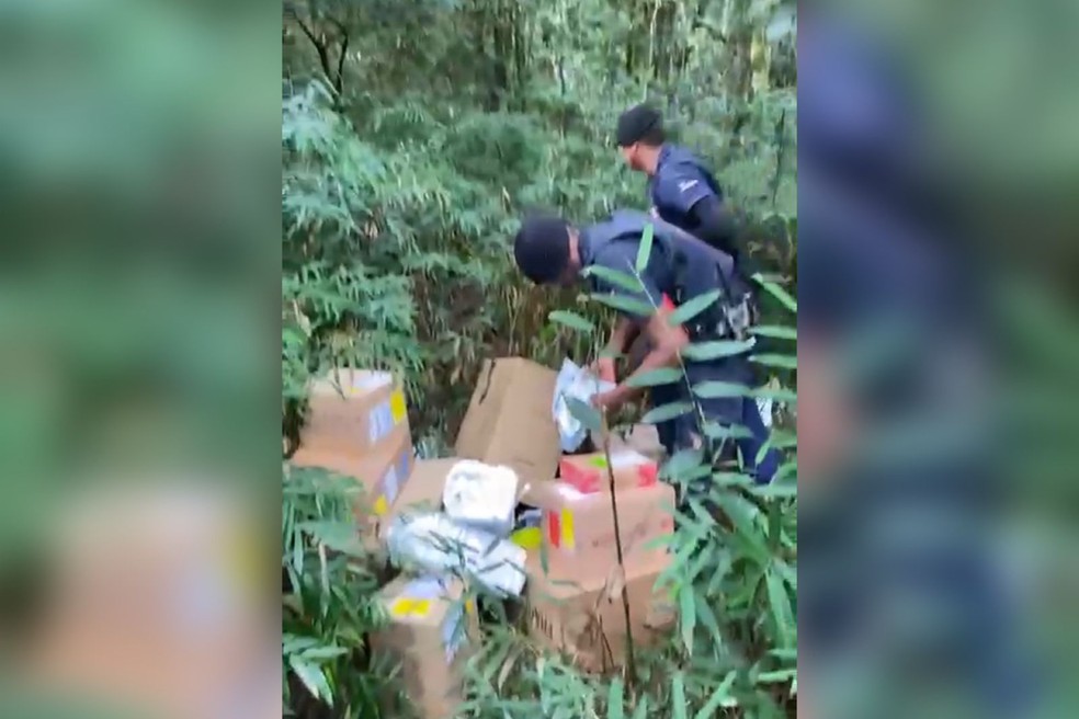 GCM recuperou a carga que foi deixada pelos assaltantes no meio de um matagal em Jundiaí (SP) — Foto: Guarda Civil Municipal/Divulgação