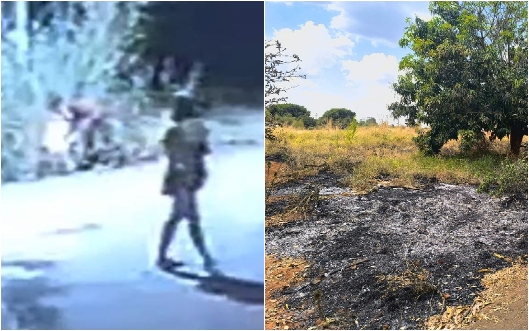 Casal com bebê de colo é preso após ser flagrado colocando fogo em área de vegetação, em Goiânia; vídeo
