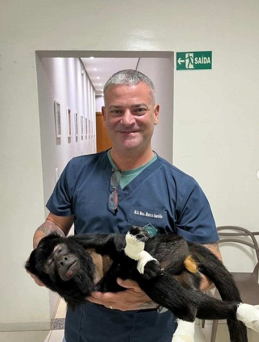 Médico Veterinário fez tratamento do animal que está em recuperação — Foto: Reprodução