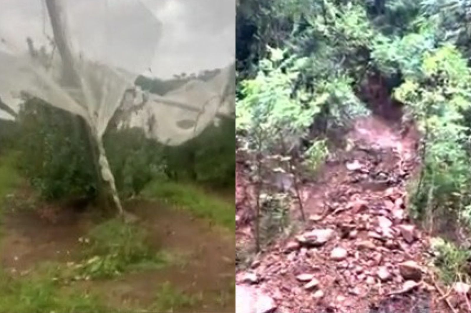 Chuva forte e vendaval derrubam árvores, destroem pomares e destelham casas em SC; VÍDEO