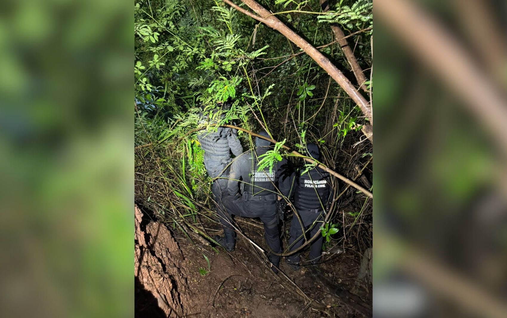 Corpo de corretora que estava desaparecida em Caldas Novas é encontrado em área de mata, diz delegado