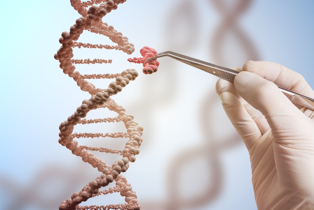 Vírus do molusco contagioso carrega gene humano adquirido há cerca de 100 mil anos