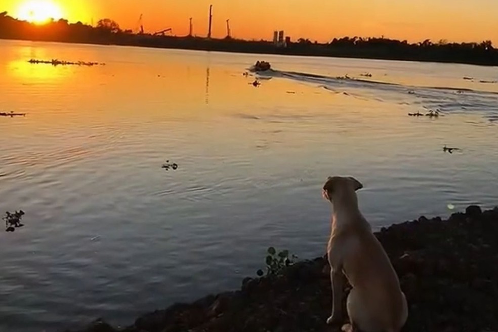 Rubio na beira da obra  Foto: MOPC Paraguay