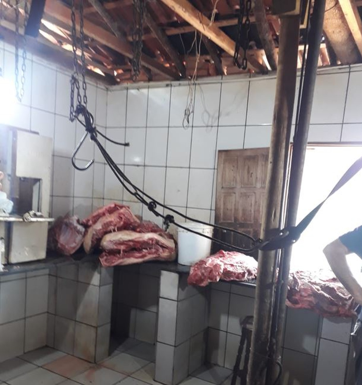 Operação fecha abatedouro clandestino suspeito de vender carne de