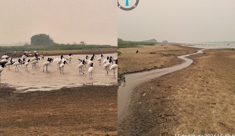 Pescadores abrem canal para peixes terem acesso ao rio — Foto: Dinho Bareiro/Arquivo Pessoal