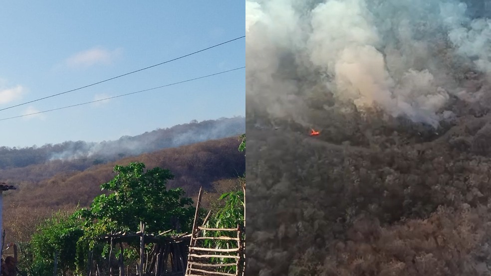 Incêndio atinge região de mata em Pacujá, interior do Ceará. — Foto: Divulgação/CBMCE