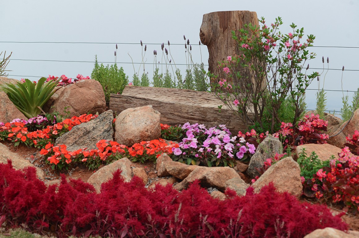 Você Não Tá Convidada pro Meu Bat Mitzvá!