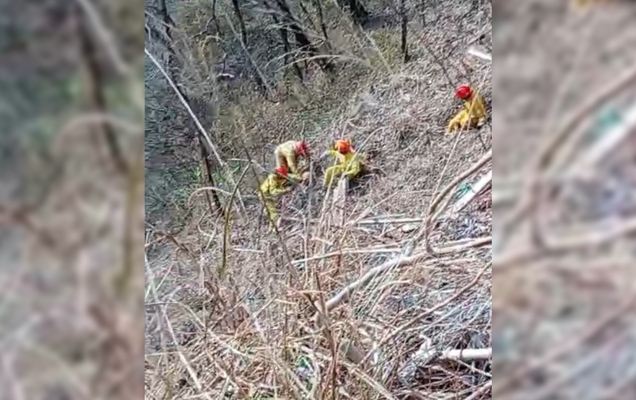 VÍDEO: bombeiros resgatam cachorro preso em penhasco de 25 metros em Marília