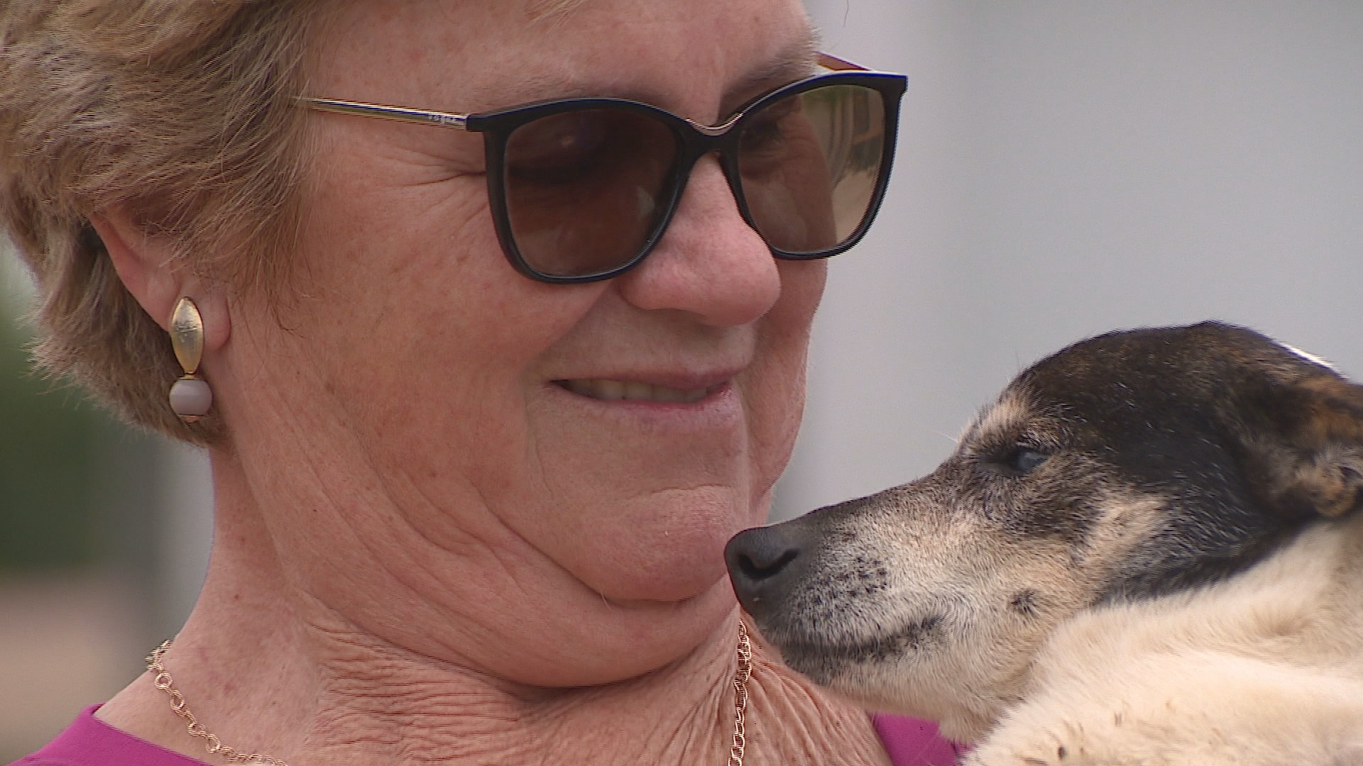 Conheça a história de Branquinho, o cão que visita o túmulo do tutor todos os dias no RS; VÍDEO