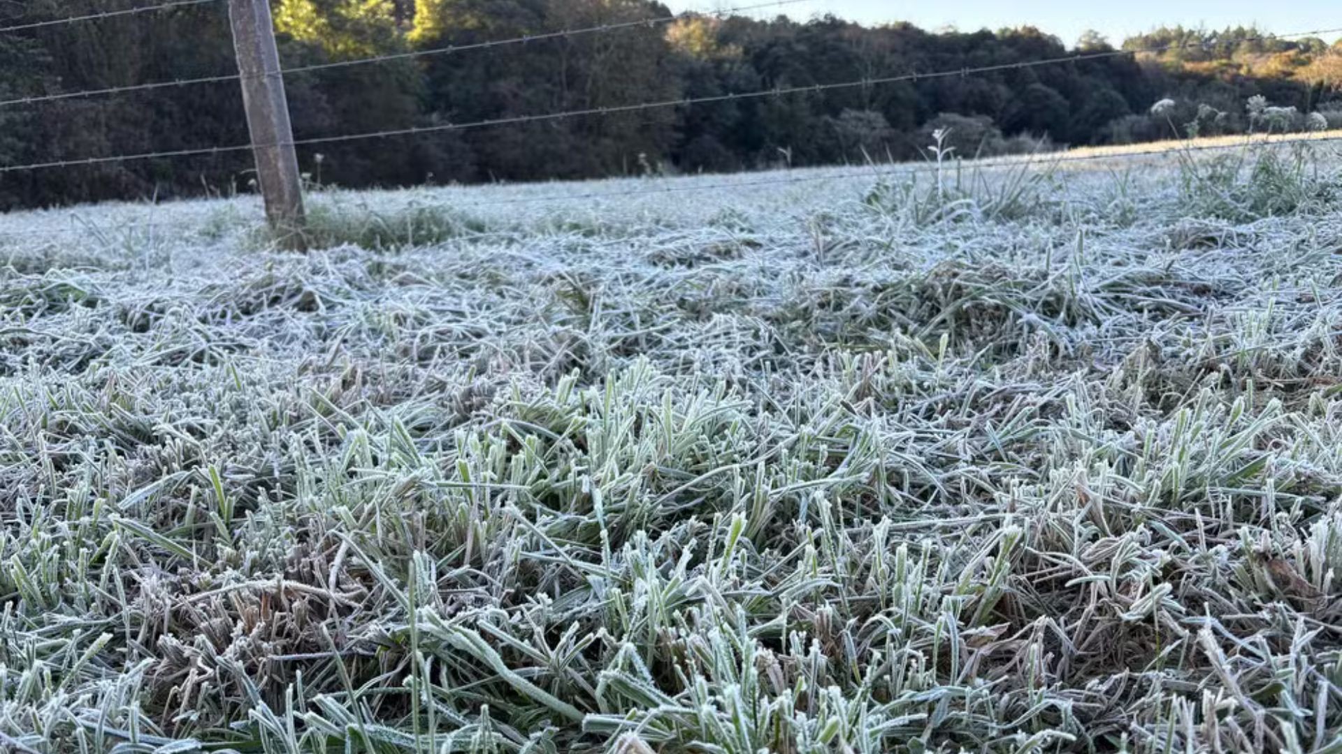 Com risco de geada, Rio Grande do Sul terá os primeiros dias de frio intenso de 2026 e Inmet emite aviso