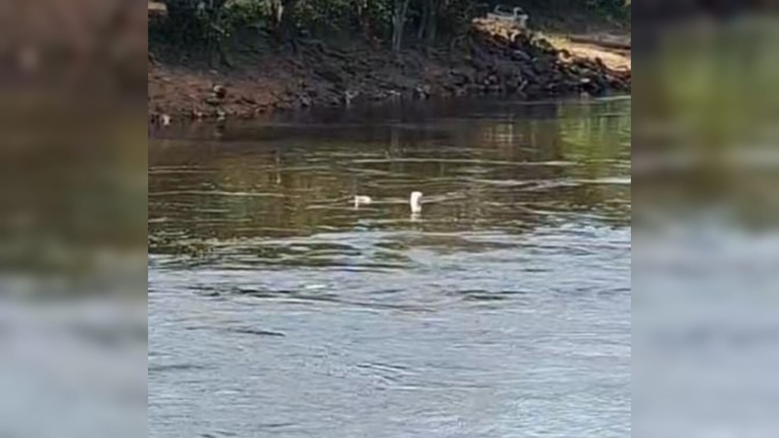 Ônibus que caiu de ponte no Rio Curuá-Una é localizado por pescadores em Santarém
