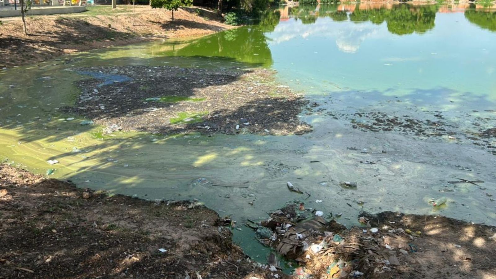 VÍDEO: descarte irregular de dejetos em lagoa de Teresina provoca mau cheiro; moradores denunciam transtornos