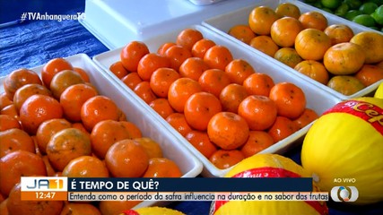 Especialista explica quais frutas estão mais baratas nesta época no ano