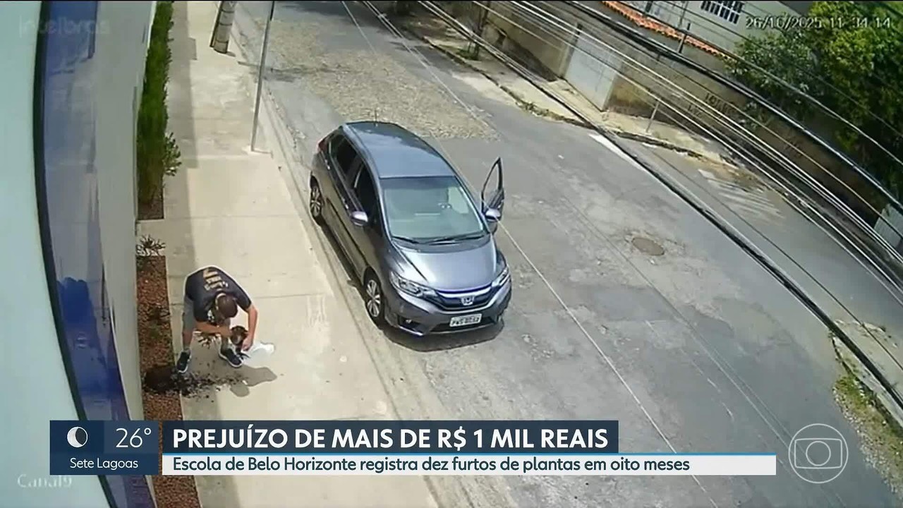 Jardim de escola é furtado pela mesma pessoa 10 vezes em 8 meses; vídeo mostra homem com cão levando mudas