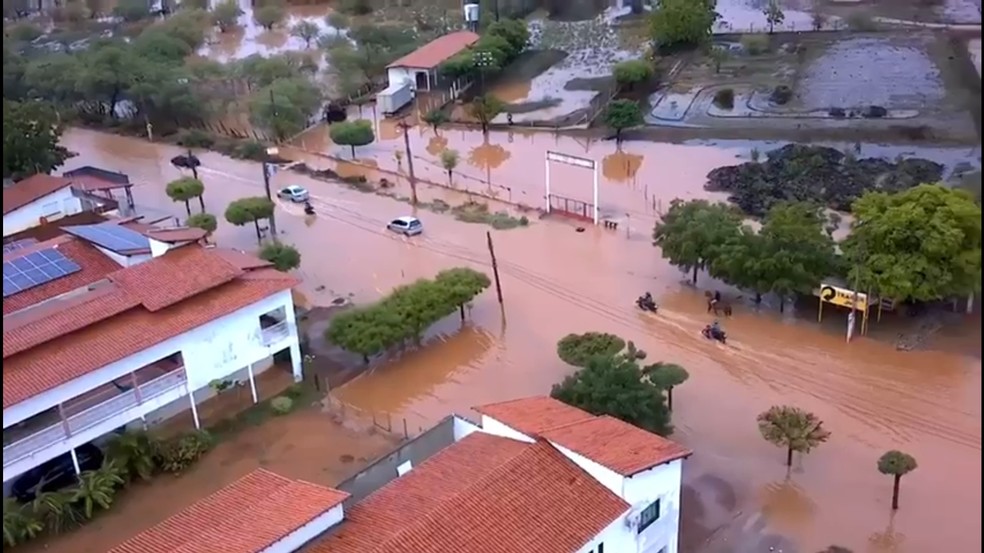 Jacaré é capturado por moradores após chuva deixar ruas alagadas em Picos,  no Piauí | Piauí | G1