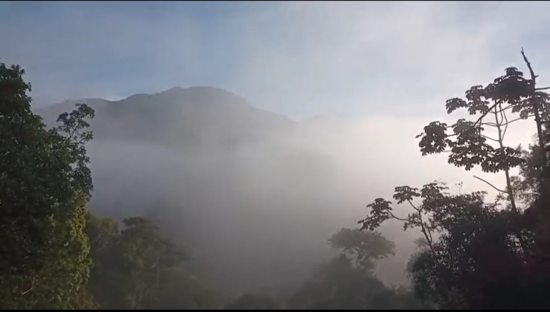 Sexta-feira fria em Petrópolis; conheça iniciativas para arrecadação de agasalhos