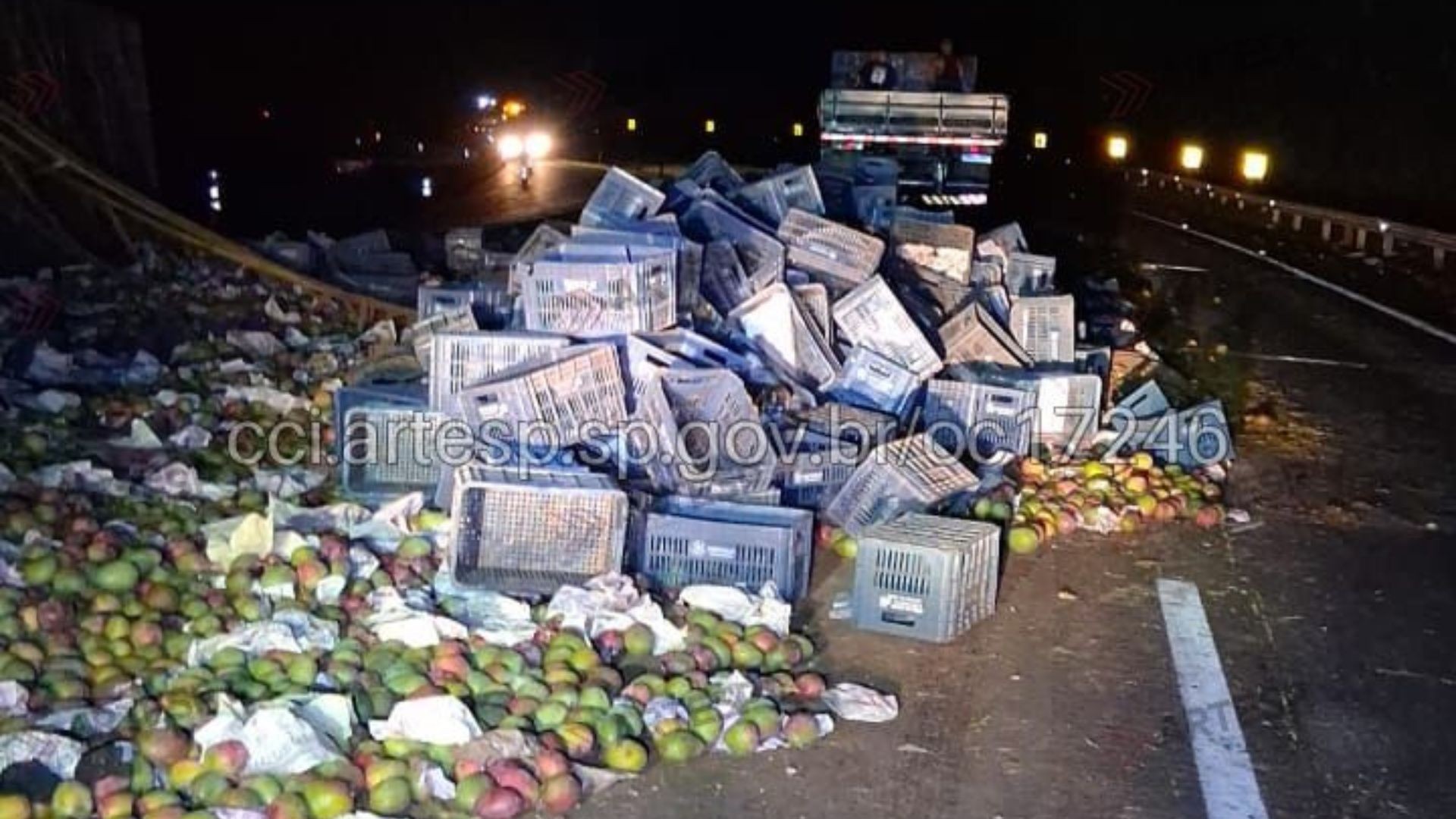 Carreta carregada com 28 toneladas de manga espalha frutas após tombar em rodovia no interior de SP