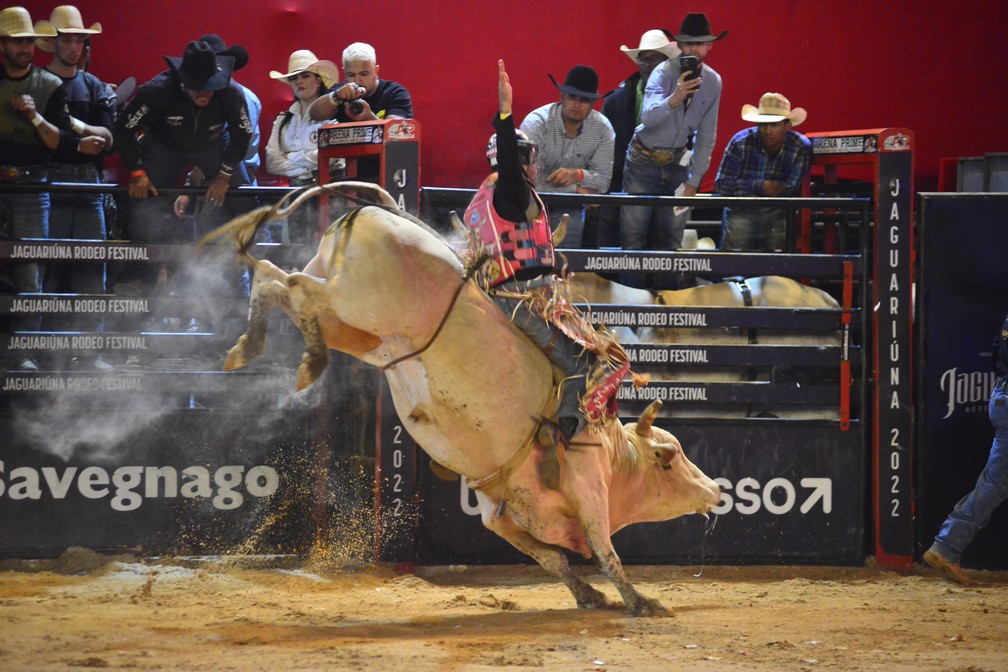 Jaguariúna Rodeo Festival inicia competições de arena nesta sexta-feira ‹ O  Regional