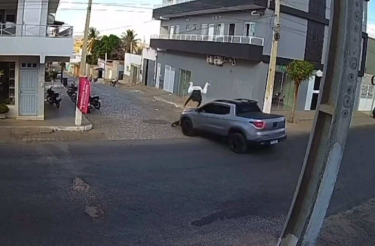 VÍDEO: Piloto 'voa' e moto pega fogo após colisão com carro no interior do RN