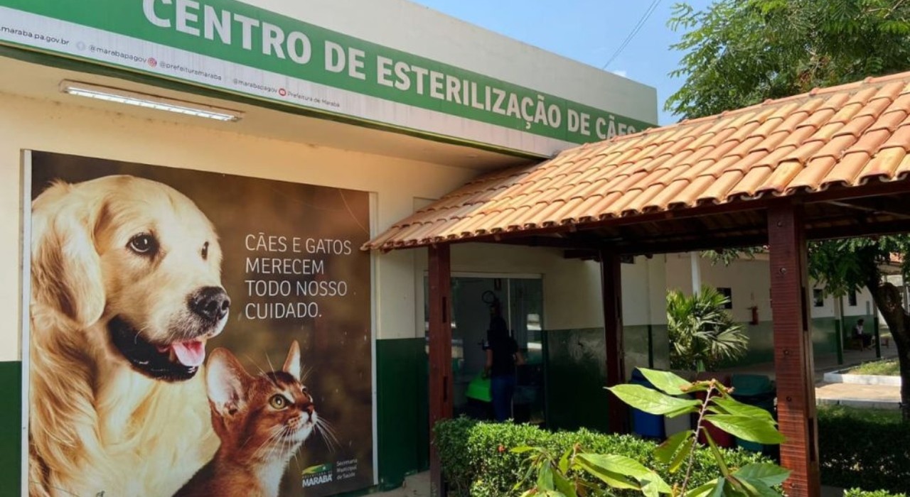 Morcegos com raiva são encontrados mortos em Marabá Paulista