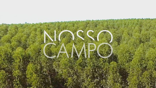 Retrospectiva 2023: reveja reportagens do Nosso Campo deste domingo, 7 de janeiro - Programa: Nosso Campo – TV TEM 