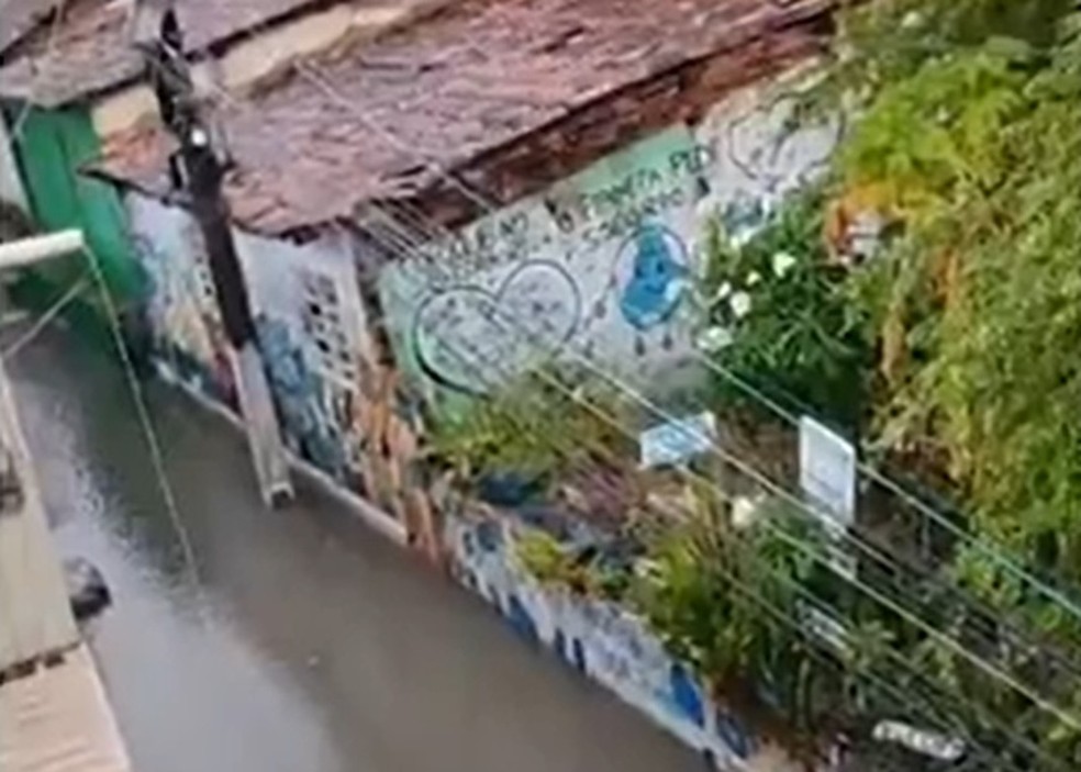 Rio Tejipi transbordou e gua invadiu casas na Zona Oeste do Recife — Foto: Reproduo/WhatsApp