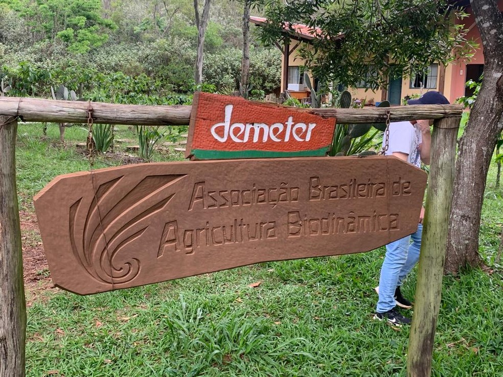 Fazenda Tamanduá. globo rural 2023 - Centro de Inteligência em Orgânicos