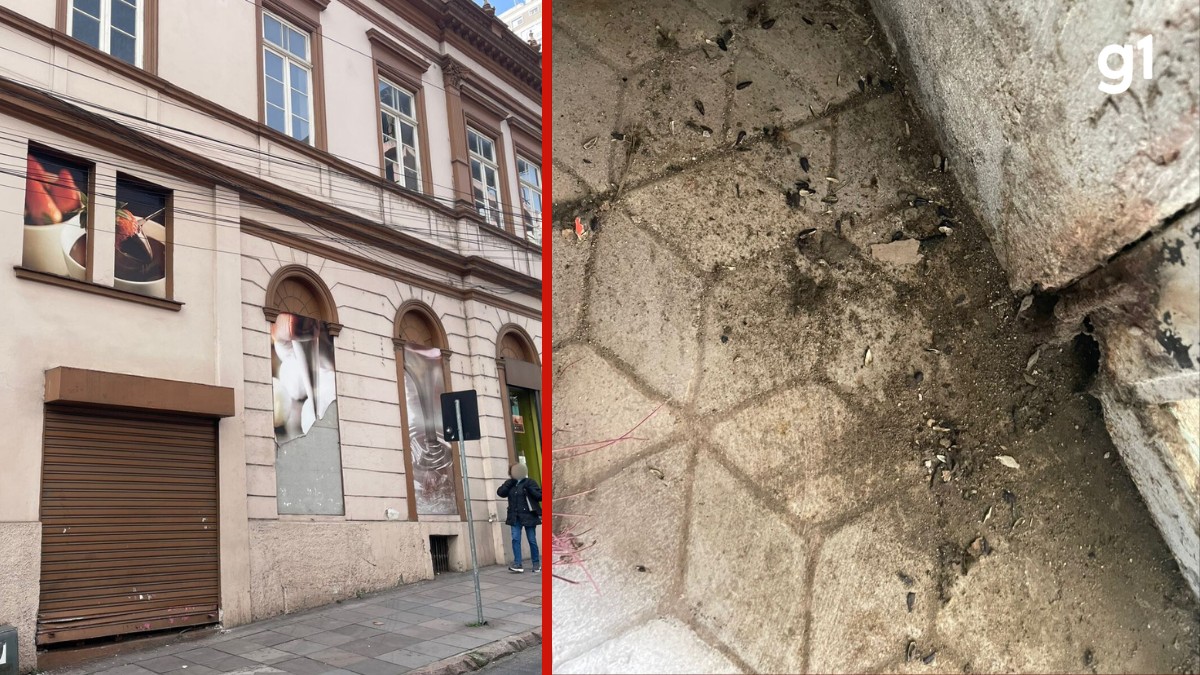 Após vigilância apontar fezes de ratos em chocolates, segunda loja de franquia é interditada em Porto Alegre