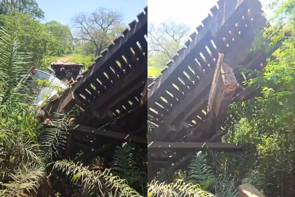 Ponte desaba com caminhão e oito bois morrem em rio de Bonito; veja VÍDEO