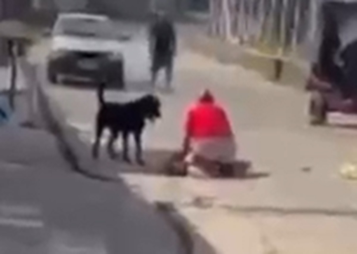 Avó e neta vão para hospital após serem feridas por rottweiler; tutor é autuado por lesão corporal