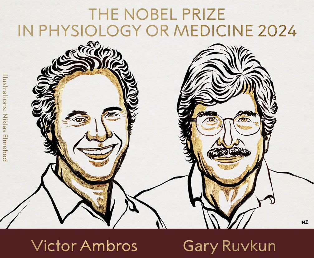 Victor Ambros e Gary Ruvkun são os ganhadores do Prêmio Nobel 2024 em Medicina, anunciou a Assembleia do Nobel no Instituto Karolinska, da Suécia, nesta segunda-feira (7). — Foto: Nobel Assembly at Karolinska Institutet in Stockholm