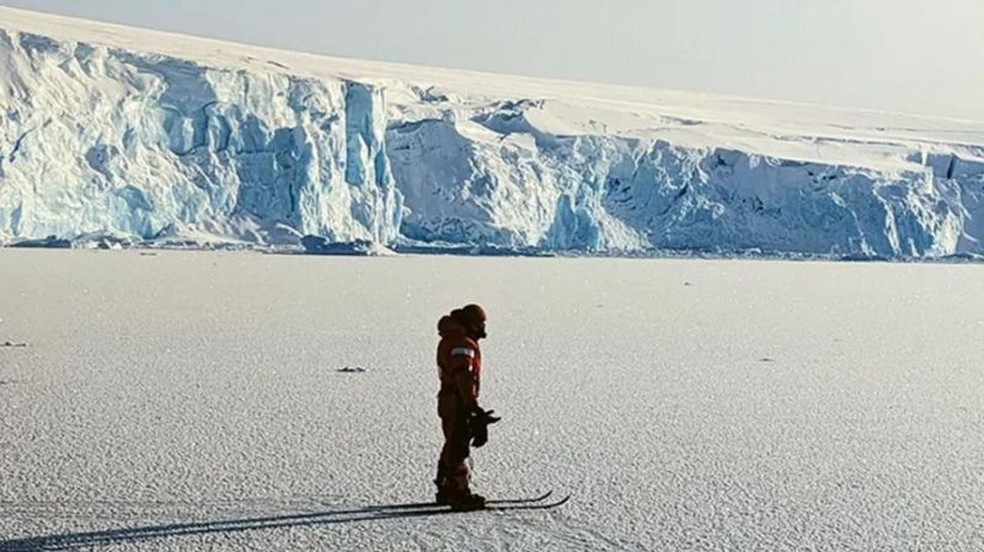 Quando a Antártida era verde: conheça o passado do continente
