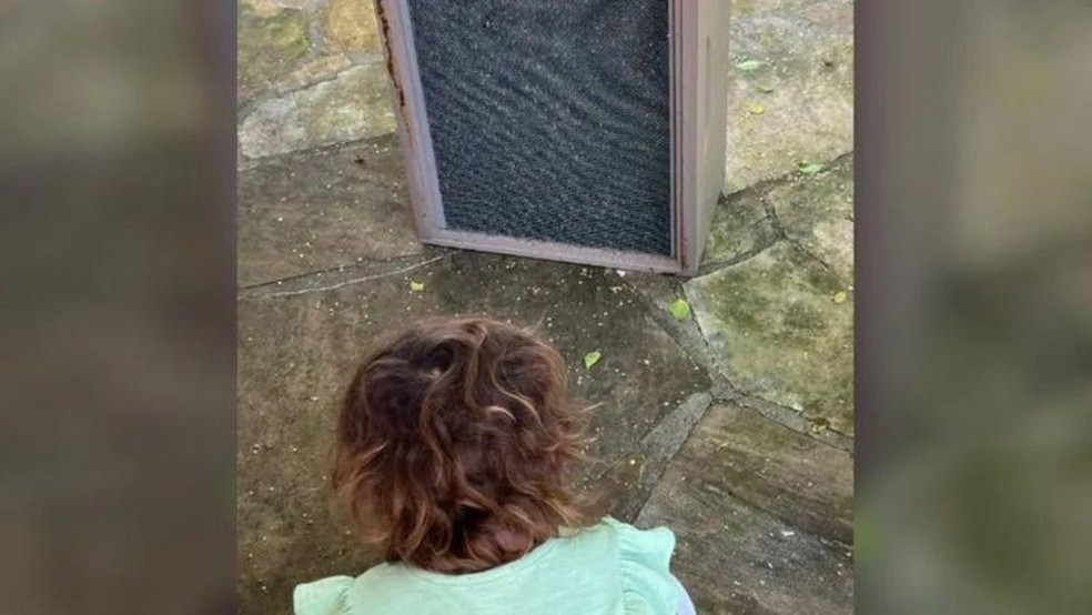Saylor Class, de três anos, observa alguns dos 'monstros' que perturbavam seu sono — Foto: BBC