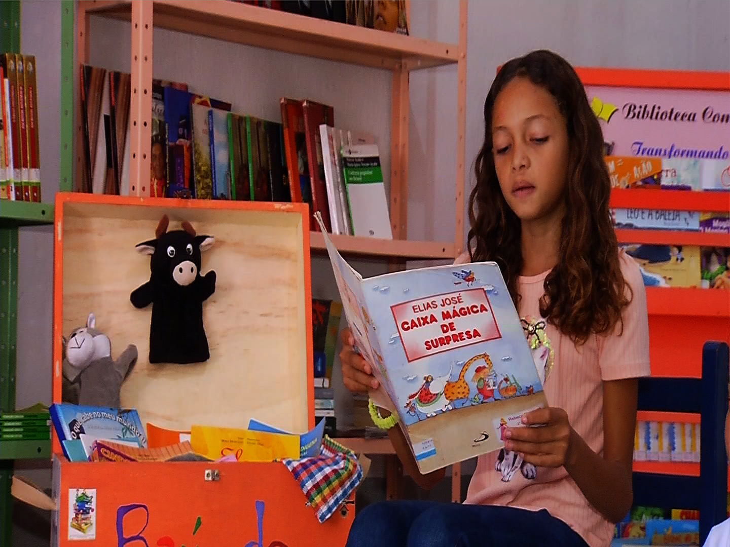 Seis estados não atingem metas de alfabetização na idade certa; veja quais são