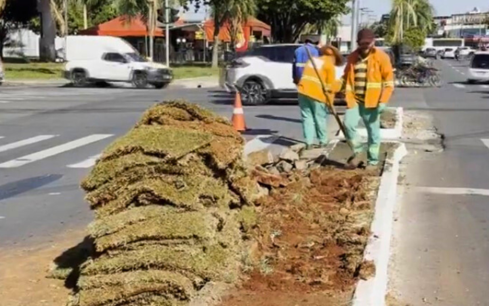 Grama sintética em canteiros de Goiânia começa a ser retirada 