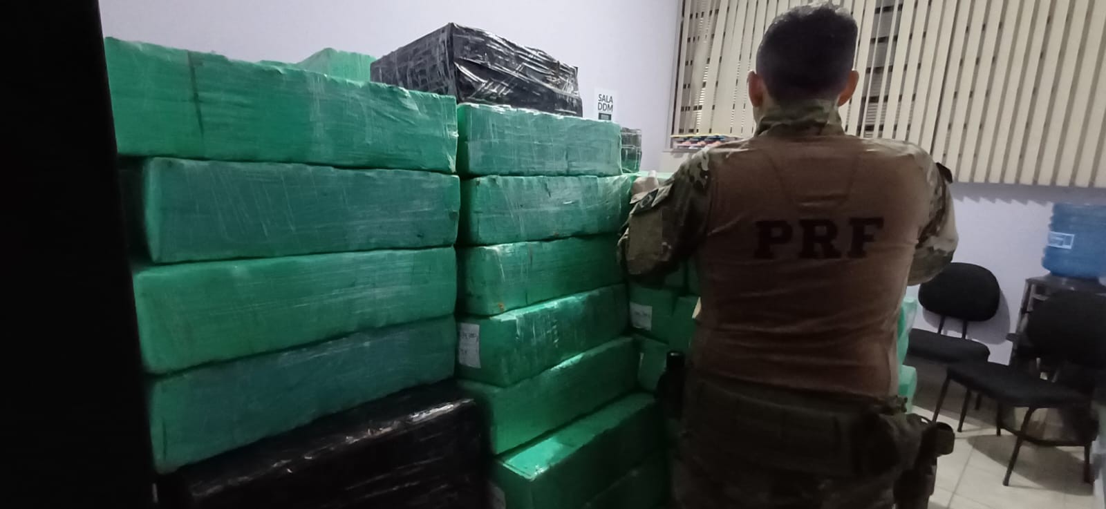 Mais de 5 toneladas de maconha congelada são encontradas em carga de peixe no litoral de SP