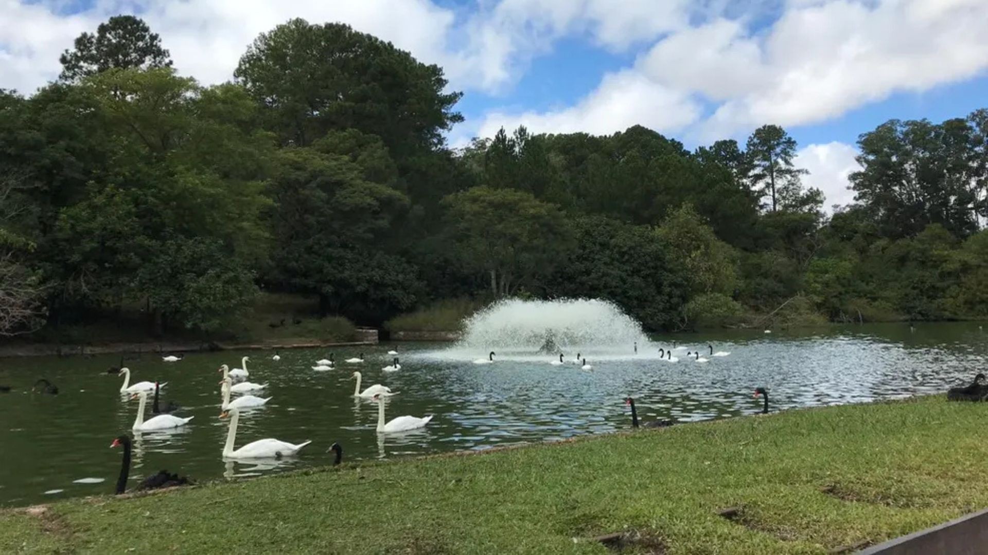 Zoológico de Sapucaia do Sul suspende visitas após morte de 15 animais; causa é investigada